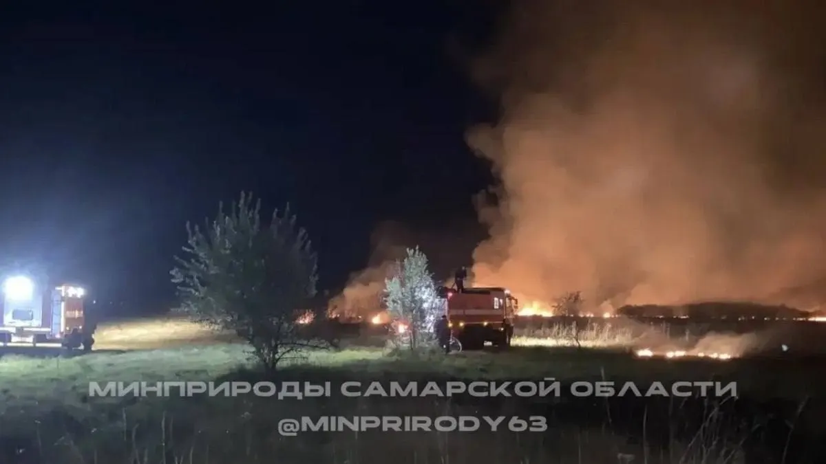 Пожар в лесу Безенчукского района ликвидирован: 14 пожарных и добровольцы справились с огнем без ущерба.