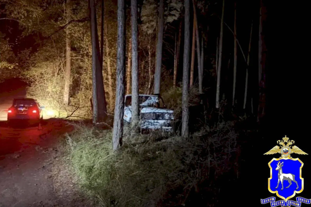 Пьяный водитель на автомобиле марки «шестёрка» врезался в дерево под Самарой; пострадавший госпитализирован.